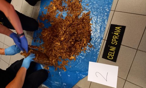 Celníci u Přerova zastavili kamion se 16 tunami tabáku. Daňový únik přesahuje 59 milionů