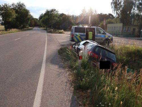 Spolujezdec vypustil v autě sarančata. Vyděšený řidič narazil do mostku