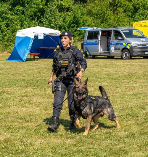 Psí hrdina Kaly zachránil seniorku. Bosou a v noční košili ji vypátral v lese u Chebu!