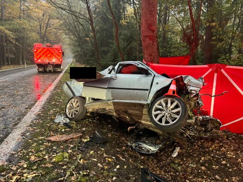 Smrt na jihu Čech: Mladík (22) nezvládl řízení a čelně narazil do stromu, zemřel na místě!